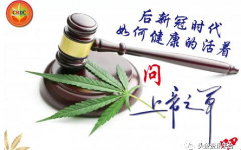 揭底借疫情防控名义进行虚假宣传的CS健康产业集团，“上帝之草”有何底气自称“抗癌神药”？