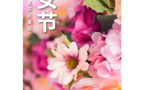 和治友德：向亲爱的女同胞致以亲切的节日问候