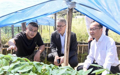 广药集团党委副书记、副董事长、总经理杨军一行调研康美药业在吉司属企业