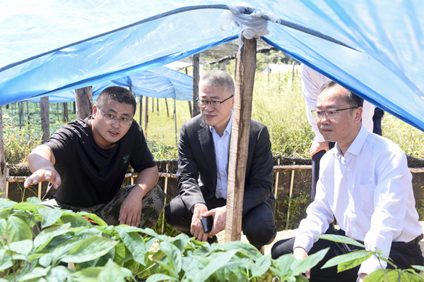 广药集团党委副书记、副董事长、总经理杨军一行调研康美药业在吉司属企业