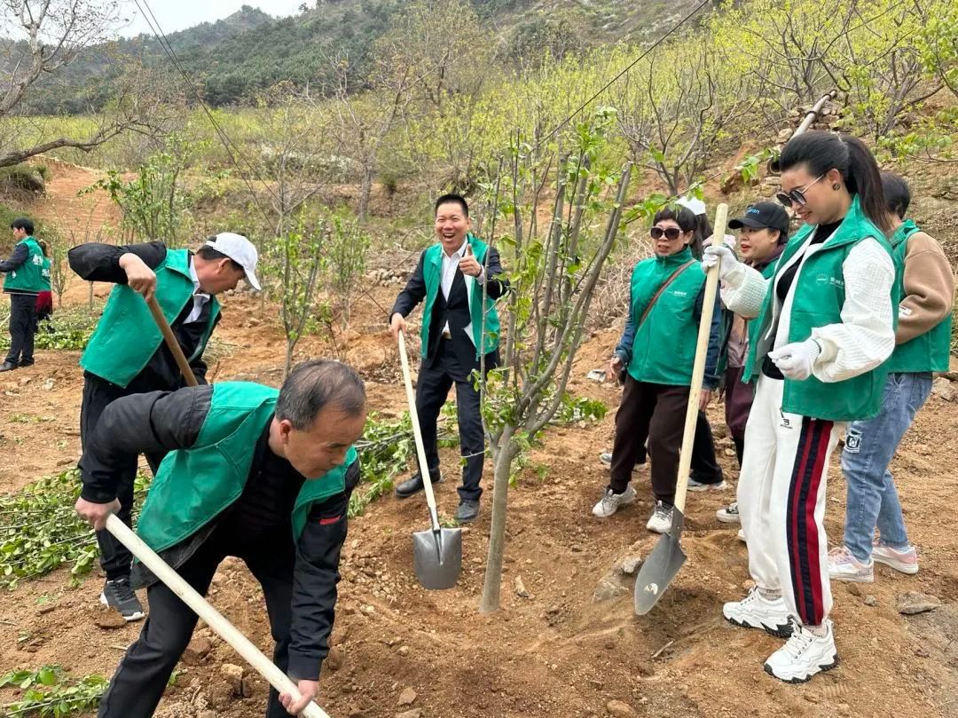 为爱充“植”，绿色地球丨第五届安然公益植树活动圆满收官