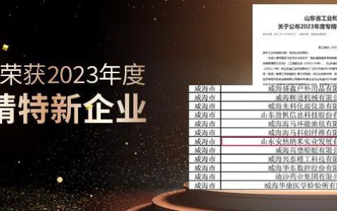 安然集团成功入选2023年度山东省“专精特新”企业