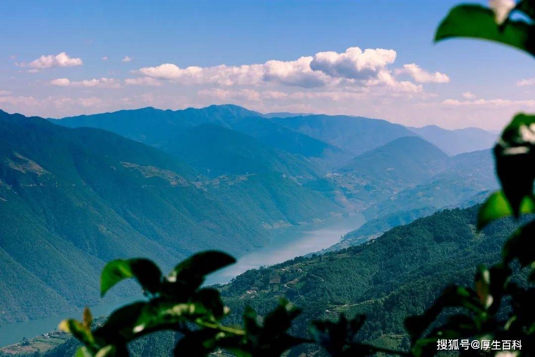 理想华莱｜探访思茅茶山，美景与茶香让你流连忘返