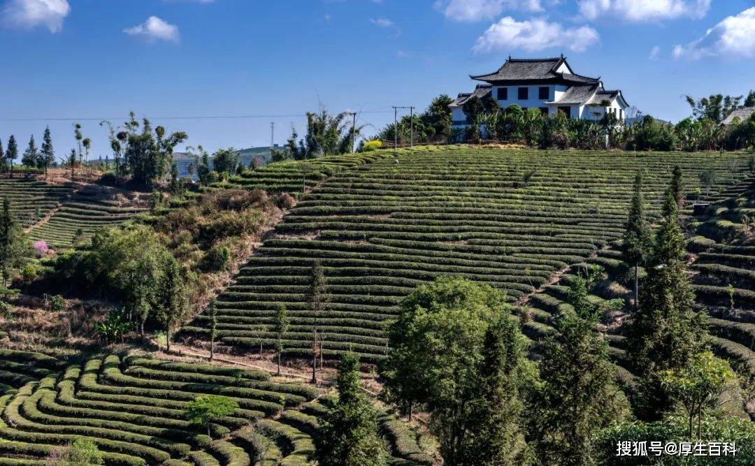 理想华莱｜探访思茅茶山，美景与茶香让你流连忘返