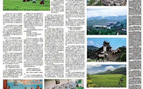 因地制宜 安化全域赋能黑茶产业 理想华莱超前“全产业链”战略布局发展