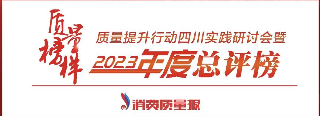 理想华莱获评第十三届质量榜样“高质量发展榜样企业”