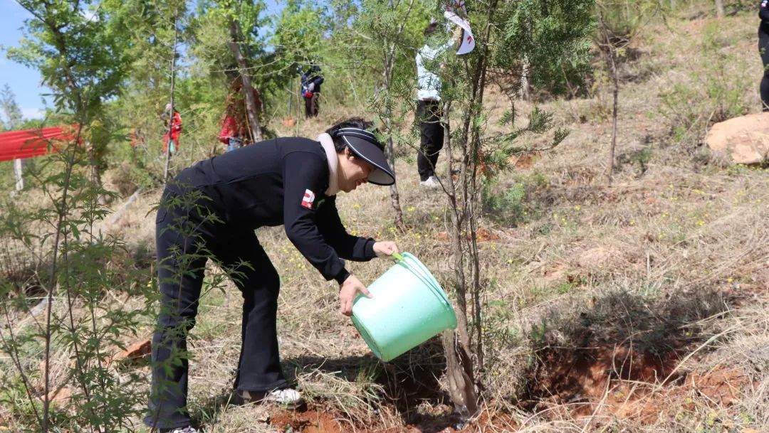 “第十二届义务植树共建完美林”活动在北京举办