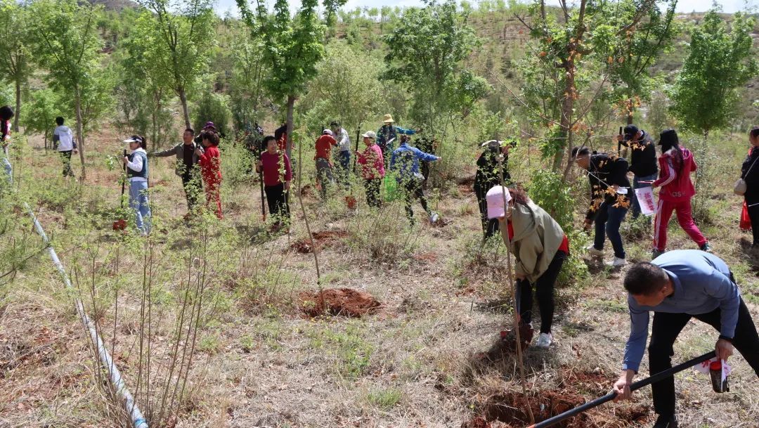 “第十二届义务植树共建完美林”活动在北京举办