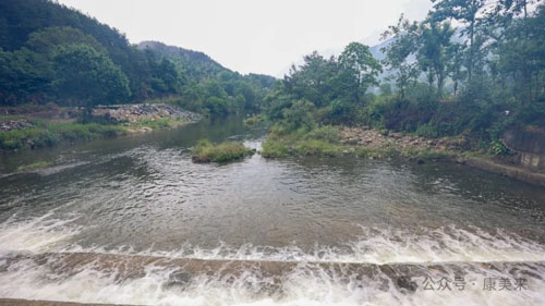 康美来丨余春富董事长视察大别山灵芝基地