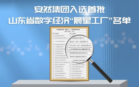 安然集团入选首批山东省数字经济“晨星工厂”名单