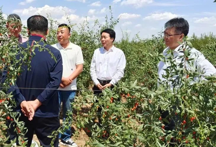 同仁堂集团党委副书记、总经理戴小锋赴宁夏调研并参加枸杞产业博览会