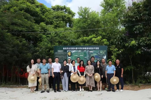 康美药业开展新康美发展调研会系列活动