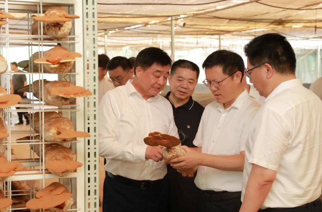 安徽省阜阳市副市长郑久坤一行考察安惠生物科技园