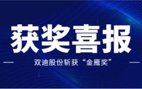 “金雁”传讯 双迪股份凭借强劲实力斩获新奖