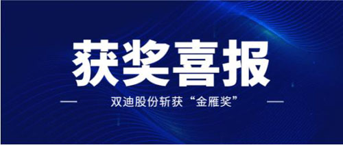 “金雁”传讯 双迪股份凭借强劲实力斩获新奖