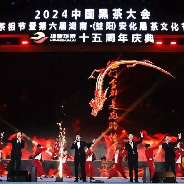 理想华莱发布五年计划 力争2029年实现300亿目标