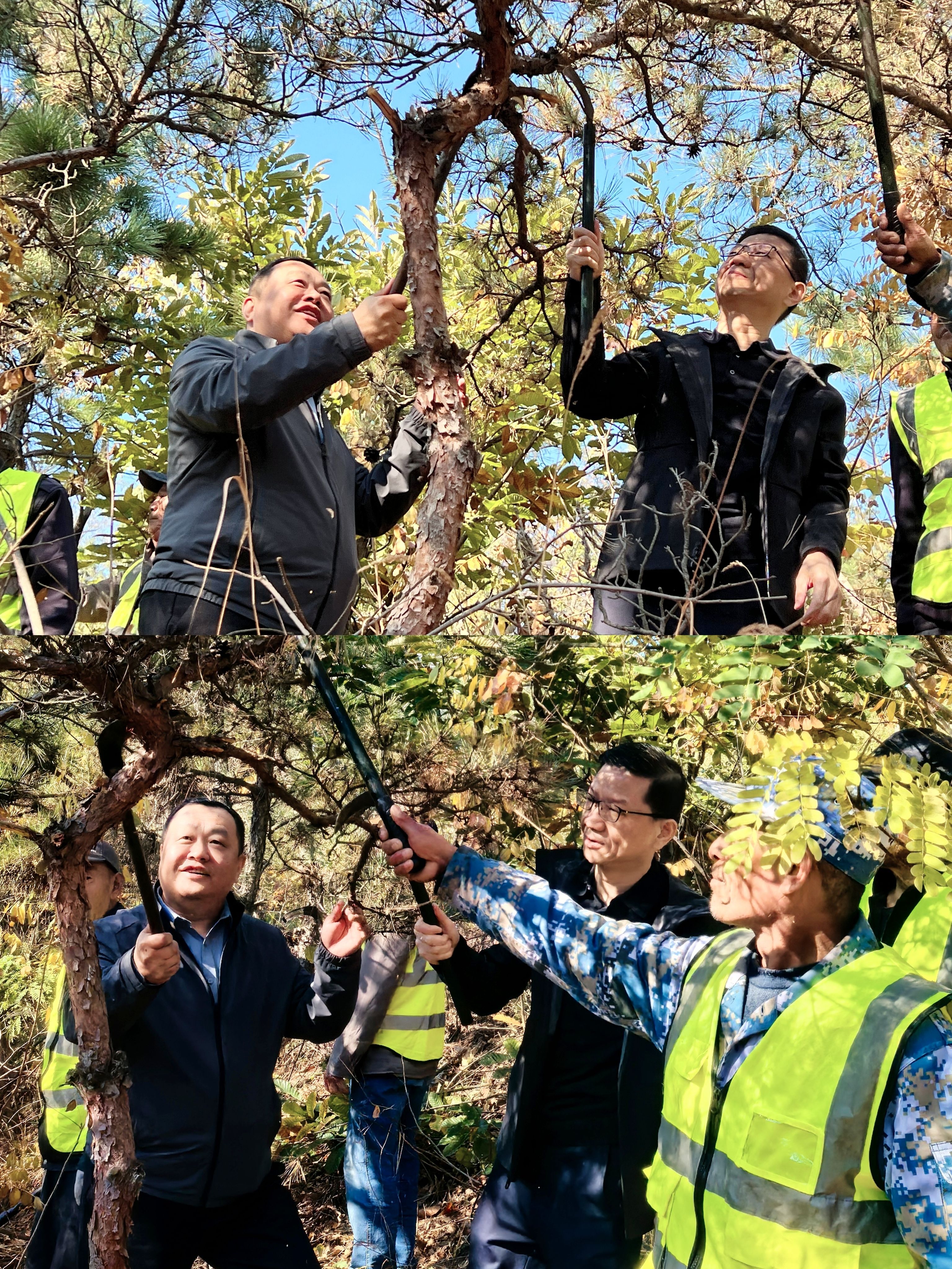 绿树群山长青常在，护林公益常做常新