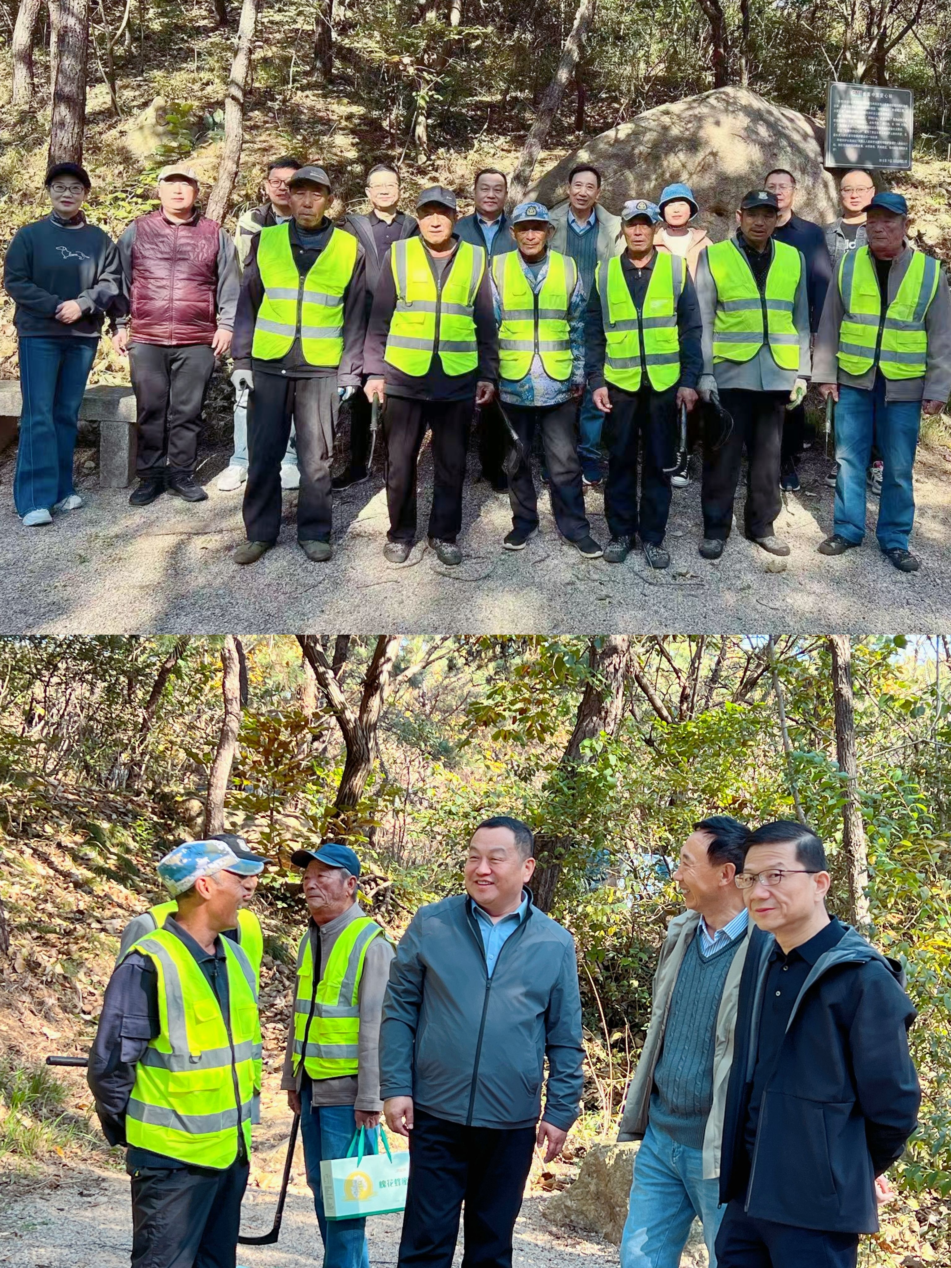 绿树群山长青常在，护林公益常做常新