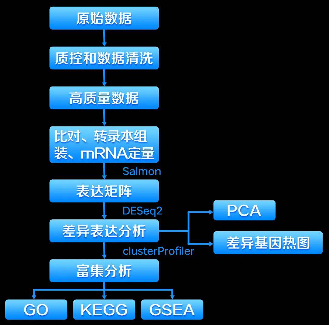 完美生科院再度荣获软著证书，自研转录组学分析软件