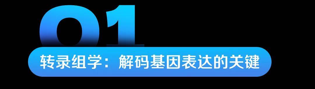 完美生科院再度荣获软著证书，自研转录组学分析软件