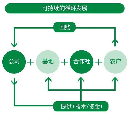 安发26年 科研筑基 双核绘梦