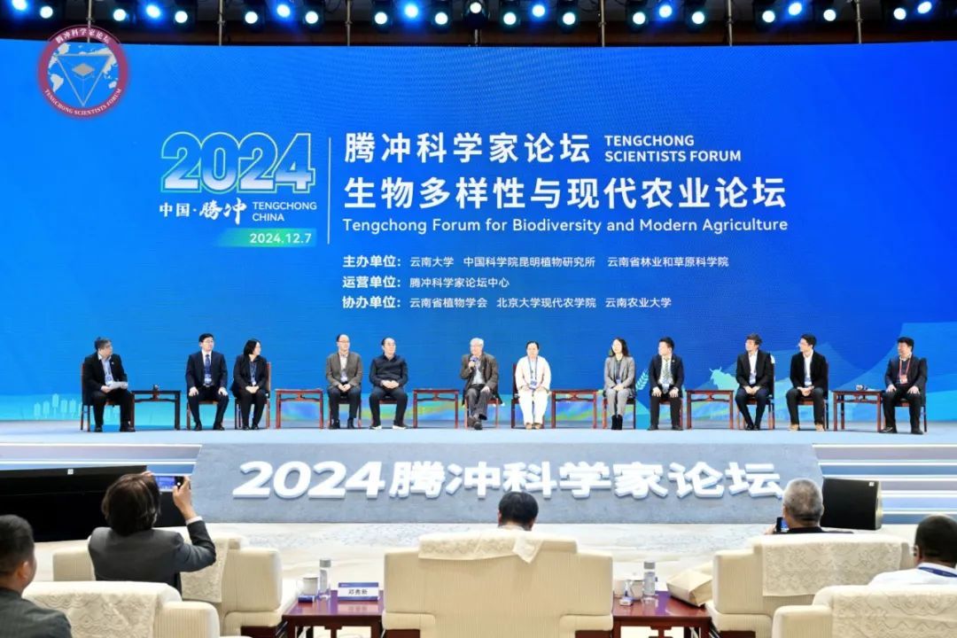 安然集团入选2025年威海市政府工作报告