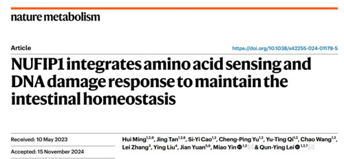 安然众合牌多种维生素蛋白粉 喝出健康活力