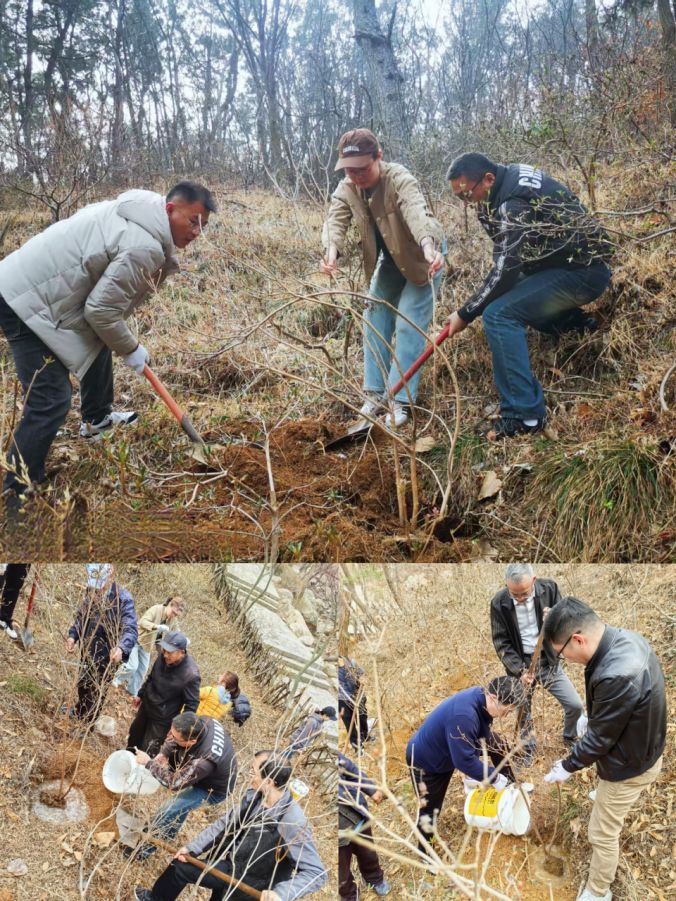 长青中国展开植树造林活动 为大珠山再添新绿