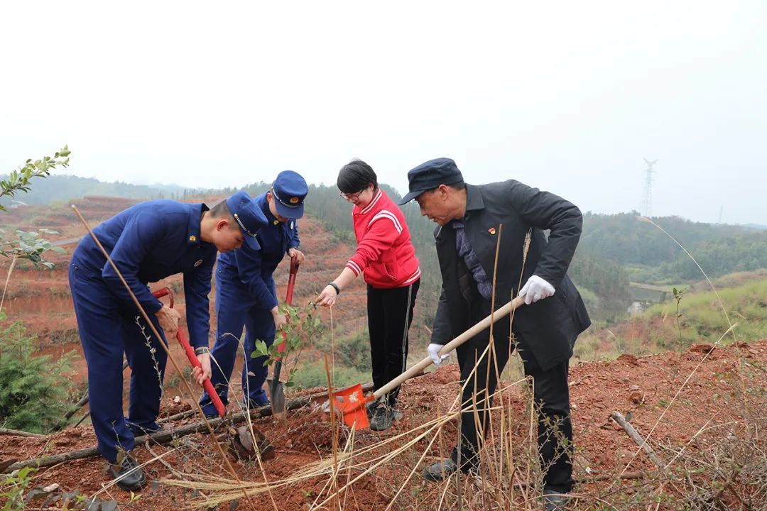 绿之韵集团党委开展植树节系列主题活动