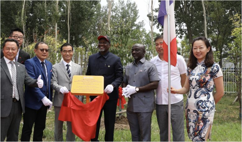 和治友德 | 植树节：守护绿色家园，共建生态未来