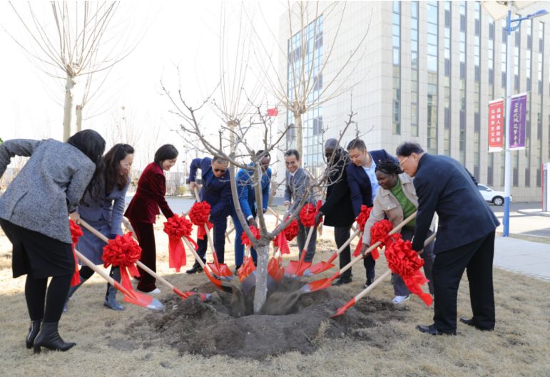 和治友德 | 植树节：守护绿色家园，共建生态未来