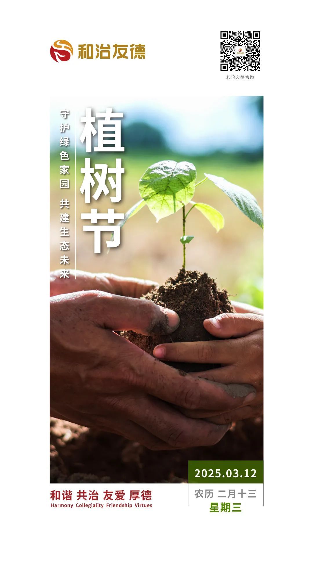 和治友德 | 植树节：守护绿色家园，共建生态未来